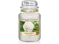 Yankee Candle Classic vonná sviečka v skle Camellia Blossom 623 g