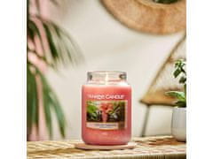 Yankee Candle Klasická vonná sviečka v skle The Last Paradise 623 g