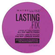 shumee Lasting Fix Setting + Perfecting Loose Powder transparentný púder na tvár 6g