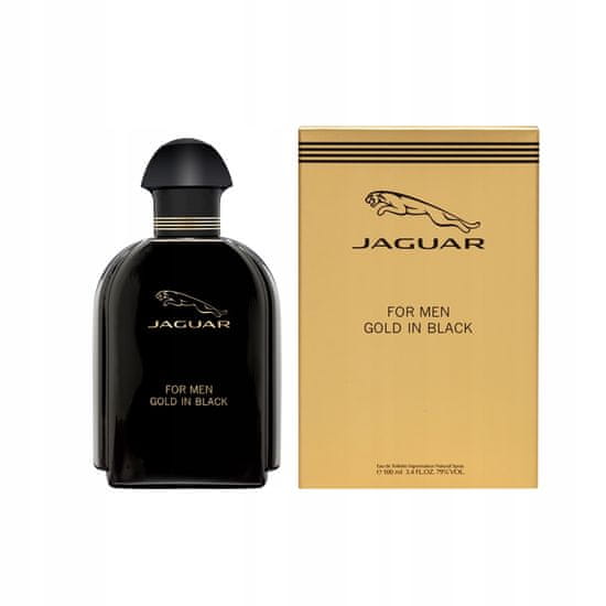 shumee Gold In Black For Men toaletná voda v spreji 100ml