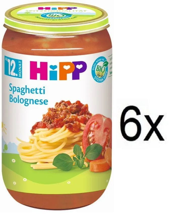 HiPP BIO Bolonské špagety - 6x250g