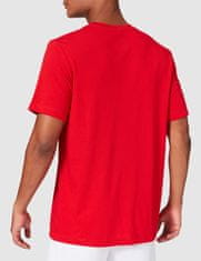 Nike Dri-FIT Park SWOOSH T-Shirt pre mužov, L, Tričko, University Red/White, Červená, CW6936-657