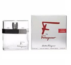 shumee F by Ferragamo Pour Homme toaletná voda v spreji 100ml