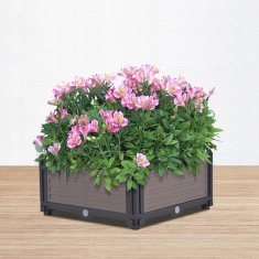 Focus Garden Pestovateľský Box Grow Cube S 41X41X17