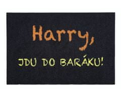 Rohožka Harry, jdu do baráku 40x60 cm 40x60