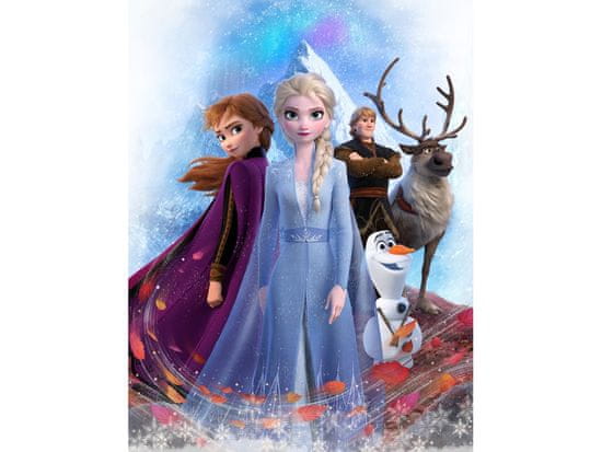 BrandMac Detská deka Frozen II Storm