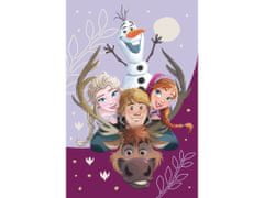 Jerry Fabrics Detská deka Frozen II Family