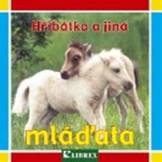 Žriebätká a iné mláďatá - leporelo