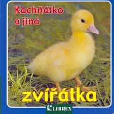 Káča a iné zvieratká - leporelo