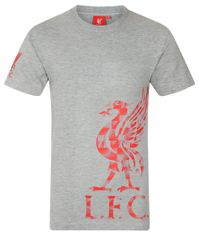 FAN SHOP SLOVAKIA Pánske tričko Liverpool FC, šedé | M