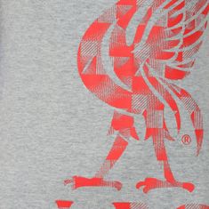 FAN SHOP SLOVAKIA Pánske tričko Liverpool FC, šedé | M