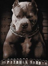 PitBull West Coast PitBull West Coast Pánska mikina Mugshot - čierna