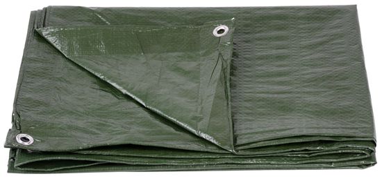 Strend Pro Plachta Tarpaulin Light 3x5 m, 65 g/m, zakrývacia, zelená, s okami