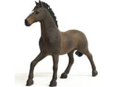 sarcia.eu Schleich Horse Club - Hřebec oldenburský, figurka pre deti od 5 rokov 
