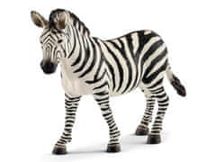 sarcia.eu Schleich Wild Life - Samička zebra, figurka pre deti od 3 rokov 
