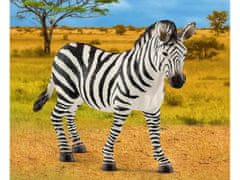 sarcia.eu Schleich Wild Life - Samička zebra, figurka pre deti od 3 rokov 