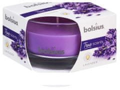 Bolsius Aromatic 2.0 Vonná sviečka v skle, 80x50mm, Lavender