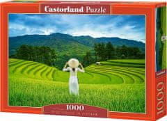 Castorland Puzzle Ryžové polia vo Vietname 1000 dielikov