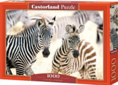 Castorland Puzzle Mladé zebry 1000 dielikov