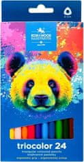 KOH-I-NOOR Trojhranné pastelky Triocolor 24ks Medveď