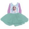 Tanečné tutu šaty DISNEY FROZEN Elsa, WD14228 4 roky (104cm)