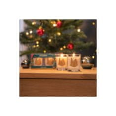 Decor By Glassor Set mini sviečok Exquisite fir