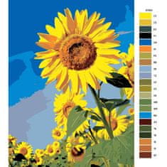 Malujsi Maľovanie podľa čísel - Pole slnečníc - 80x120 cm, bez dreveného rámu