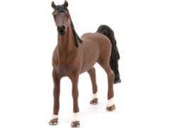 sarcia.eu Schleich Horse Club - Koň rasy American Saddlebred, hračka pre deti od 5 rokov 