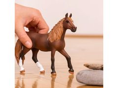 sarcia.eu Schleich Horse Club - Kobyla plemene paso peruánske, figurka pre deti od 5 rokov