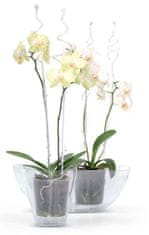 Prosperplast Tyč COUBI ISTC01, 60 cm, zelená, oporná, pre orchideu