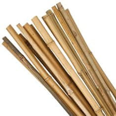 Strend Pro Tyč Garden KBT 1800/16-18 mm, bal. 10 ks, bambus, oporná k rastlinám