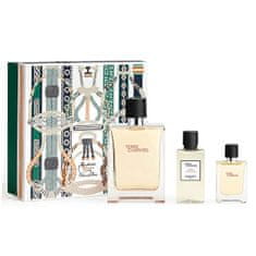 Hermès Terre D` Hermes - EDT 100 ml + voda po holení 40 ml + EDT 12,5 ml