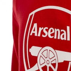 Fan-shop Dětská mikina ARSENAL FC No1 red Dětská: 14 let