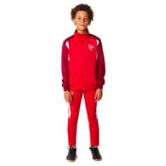 Fan-shop Dětská souprava ARSENAL FC No1 red Dětská: 14 let