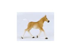 sarcia.eu 13951 Schleich Horse Club - Hafelinger hřebec, figurka pro děti od 5 let