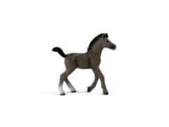 sarcia.eu 13957 Schleich Horse Club - Žriebä plemena selle français, figurka pre deti od 5 rokov 