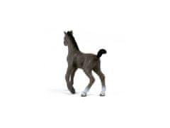 sarcia.eu 13957 Schleich Horse Club - Žriebä plemena selle français, figurka pre deti od 5 rokov 