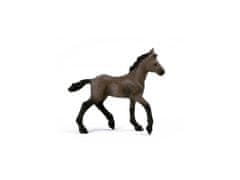 sarcia.eu 13954 Schleich Horse Club - Žriebä plemena paso peruwiański, figurka pre deti od 5 rokov