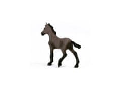 sarcia.eu 13954 Schleich Horse Club - Žriebä plemena paso peruwiański, figurka pre deti od 5 rokov