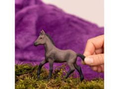 sarcia.eu 13954 Schleich Horse Club - Žriebä plemena paso peruwiański, figurka pre deti od 5 rokov