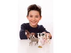 sarcia.eu SLH13772 Schleich Farm World - Osol, figurína pre deti od 3 rokov