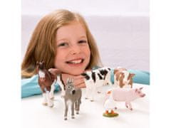 sarcia.eu SLH13772 Schleich Farm World - Osol, figurína pre deti od 3 rokov