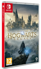 NS - Hogwarts Legacy