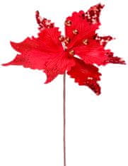 Kvet MagicHome Vianoce, Poinssetia, červená, stonka, veľkosť kvetu: 31 cm