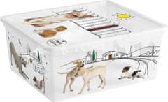 Box s vekom KIS C Style Pets M, 18 lit., 34x40x17 cm