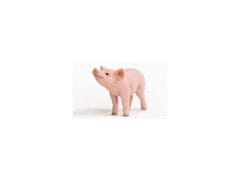 sarcia.eu SLH13934 Schleich Farm World - Prasiatko, figurína pre deti od 3 rokov