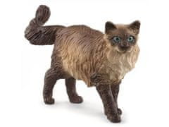 sarcia.eu SLH13940 Schleich Farm World - Mačka rasy Ragdoll, figurína pre deti od 3 rokov