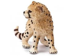 sarcia.eu SLH14747 Schleich Wild Life - Figurka Mladý gepard, figura pre deti od 3 rokov