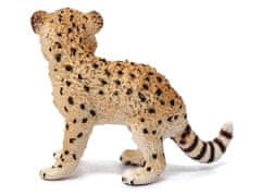 sarcia.eu SLH14747 Schleich Wild Life - Figurka Mladý gepard, figura pre deti od 3 rokov