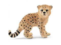 sarcia.eu SLH14747 Schleich Wild Life - Figurka Mladý gepard, figura pre deti od 3 rokov